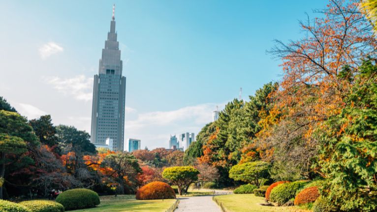 Autumn in Japan Autumn in Japan