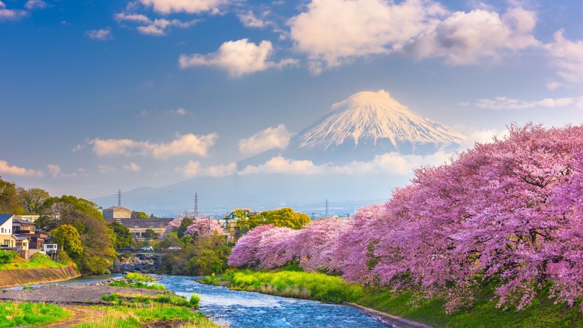 Best time to travel to Japan in 2024
